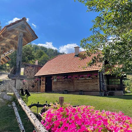 Konak Mandica Avlija Zaovine Εξωτερικό φωτογραφία